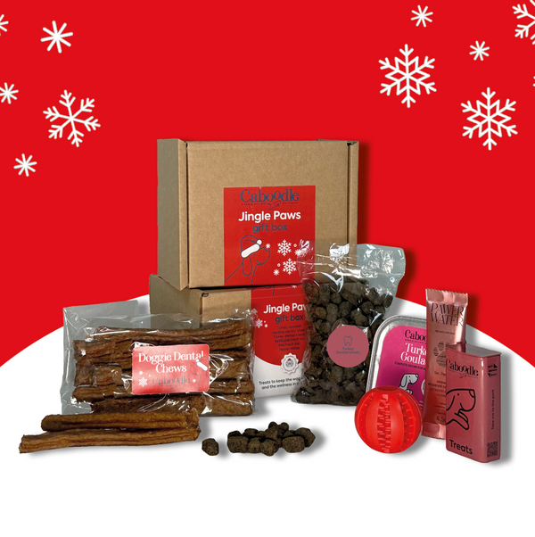 Jingle Paws Gift Box   (MOQ 6)