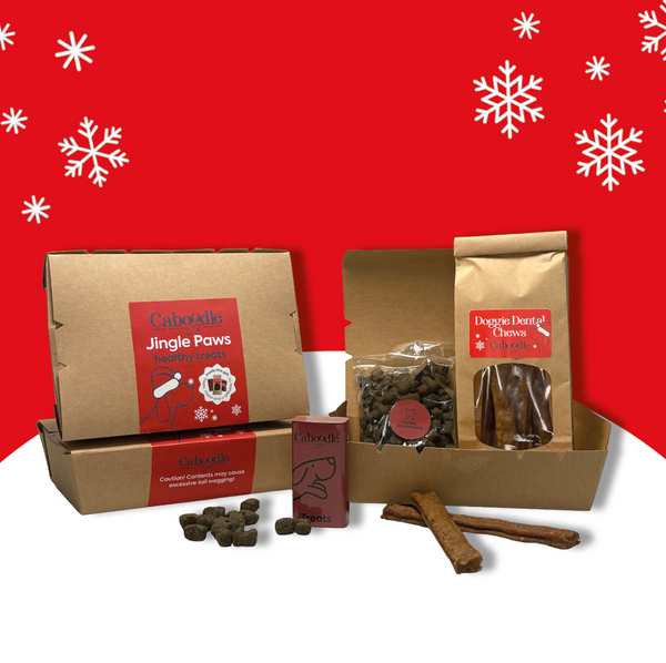 Jingle Paws Stocking Filler (MOQ 6)