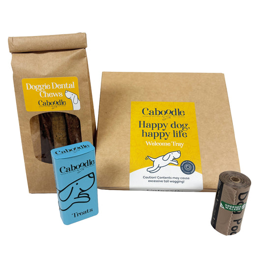 Treat Welcome Pack